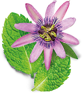 Melissa e Passiflora